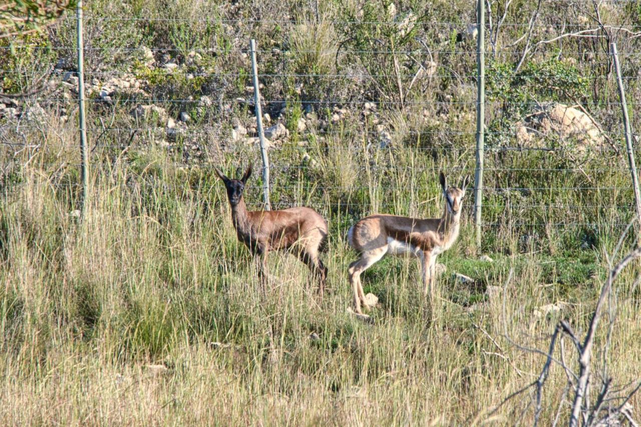 Jack'S Place Bredasdorp Bagian luar foto