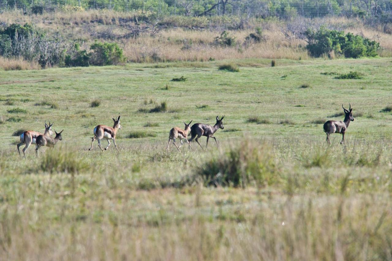 Jack'S Place Bredasdorp Bagian luar foto